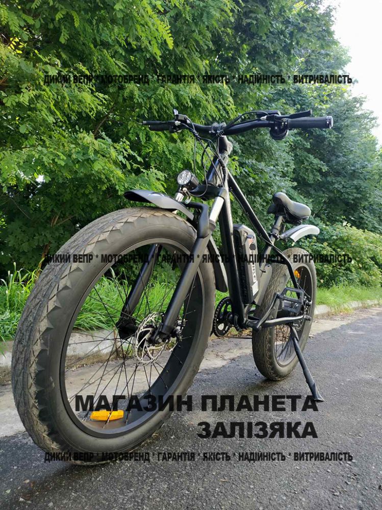Електровелосипед фетбайк SKYBIKE Calcutta (500W) чорний