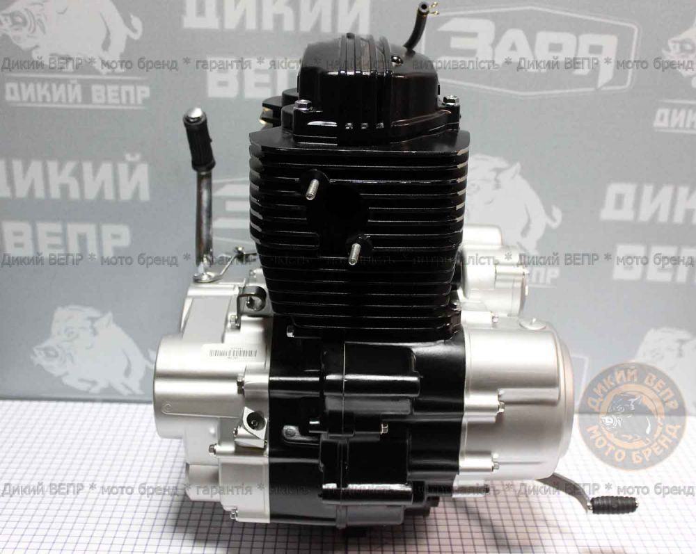 Двигун в зборі до мотоциклу SkyMoto Vepr 162 FMJ 150сс Bird