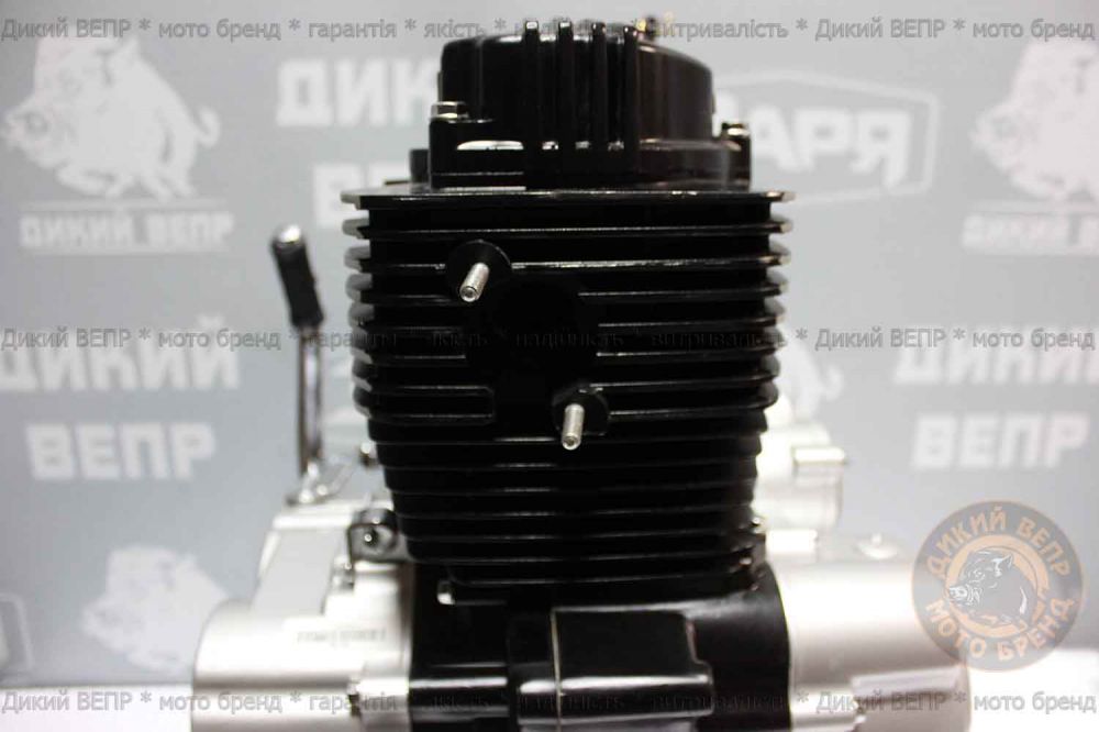Двигун в зборі до мотоциклу SkyMoto Vepr 162 FMJ 150сс Bird