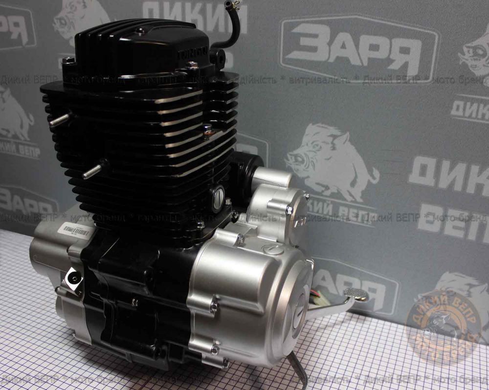 Двигун в зборі до мотоциклу SkyMoto Vepr 162 FMJ 150сс Bird