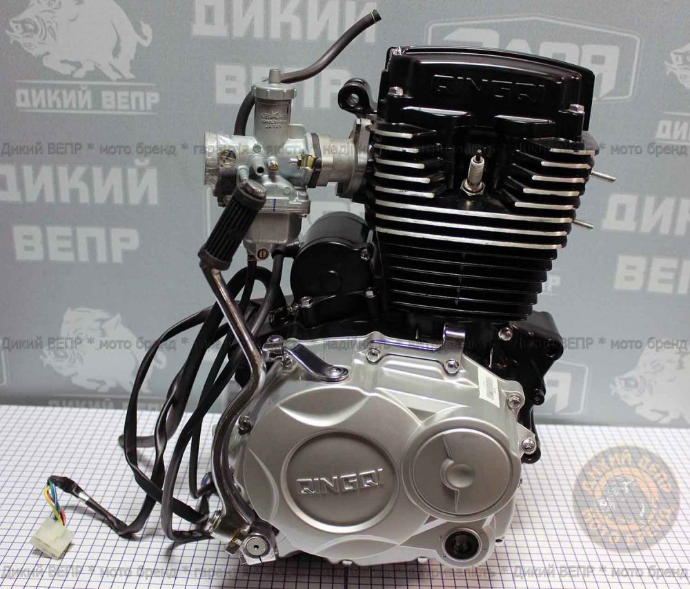 Двигун в зборі до мотоциклу SkyMoto Vepr 162 FMJ 150сс Bird