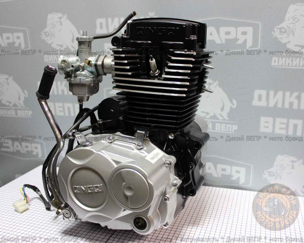 Двигун в зборі до мотоциклу SkyMoto Vepr 162 FMJ 150сс Bird