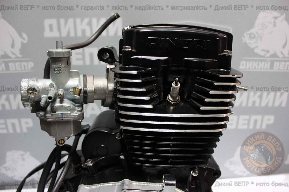 Двигун в зборі до мотоциклу SkyMoto Vepr 162 FMJ 150сс Bird