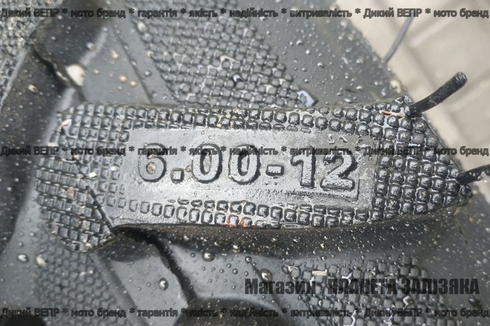 Мотоблок Вепр 101МЕ з електростартером від ТМ Заря з фрезою