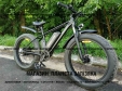 Електровелосипед фетбайк SKYBIKE Calcutta (500W) чорний