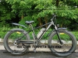 Електровелосипед фетбайк SKYBIKE Calcutta (500W) чорний