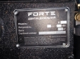 Дизельний двигун Forte Д-195Е