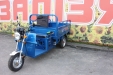 Трицикл Skymoto HERCULES-110 C