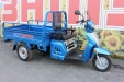 Трицикл Skymoto HERCULES-110 A