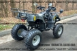 Квадроцикл Spark SP200-1