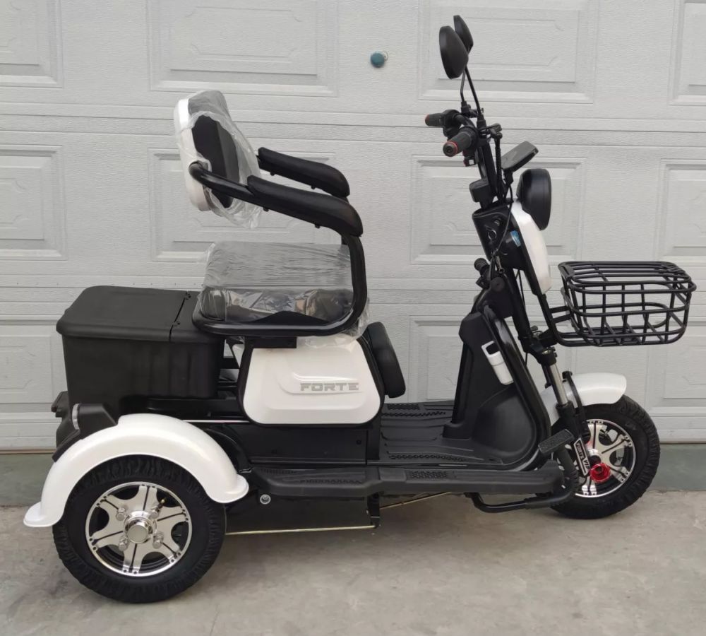 Електроскутер Forte FAMILY 650W 60V-20Ah SLA