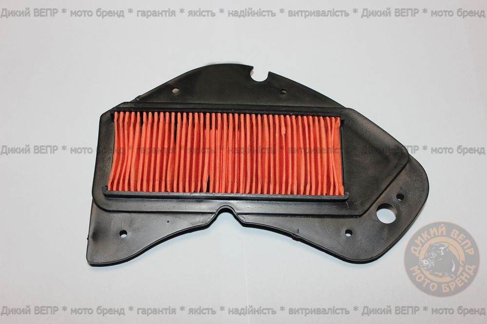 Елемент повітряного фільтра QM125T