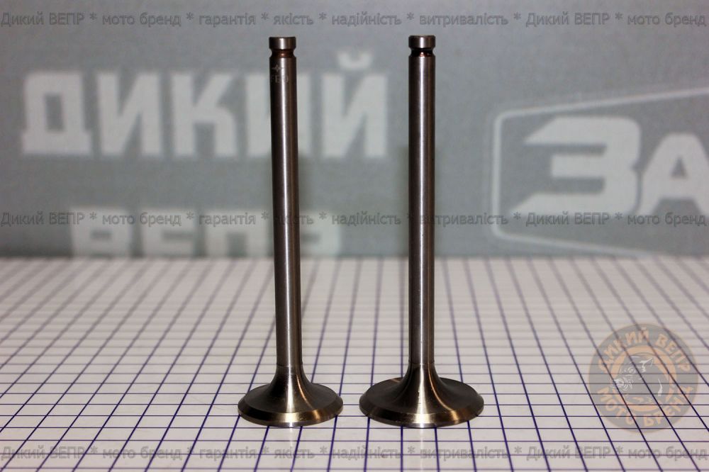 Впускний і випускний клапан до двигуна R190 Заря