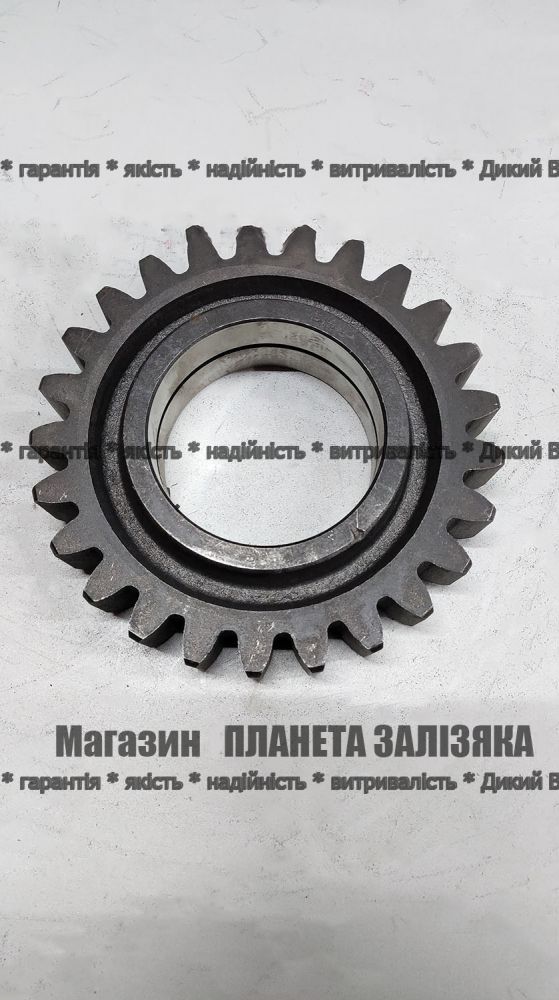 Шестерня Z-25 (підшипникова) редуктора фрези до тракторної грунтофрези Зоря, ДТЗ 1,6-2,0м